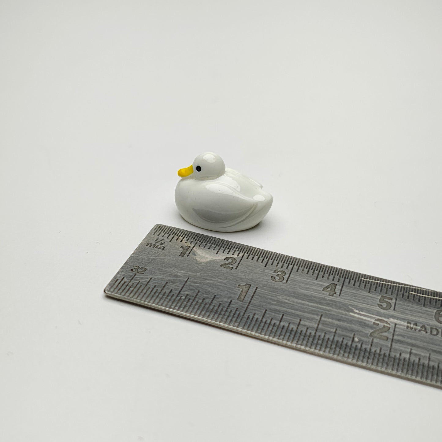 Swan
