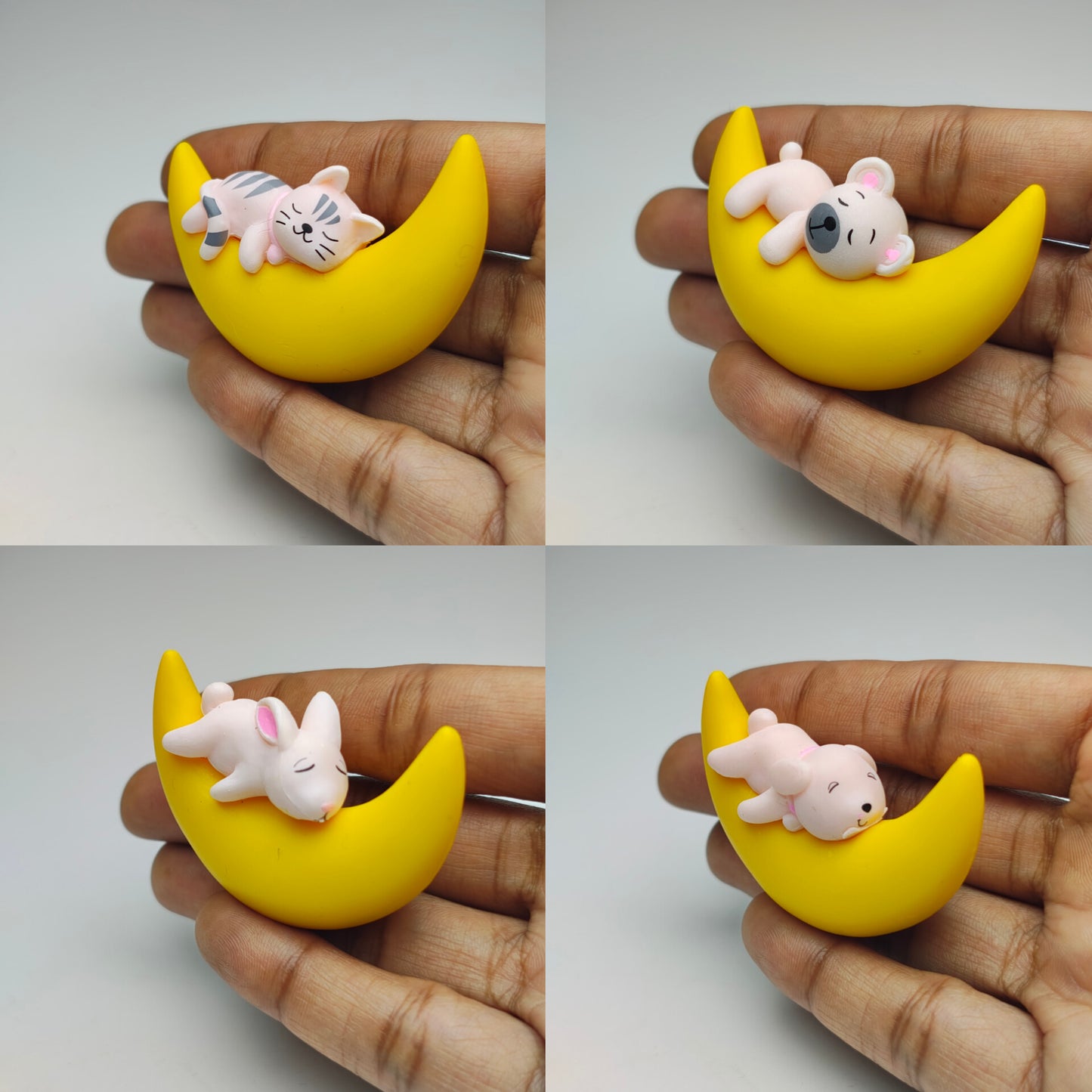 Animals Sleeping in Moon