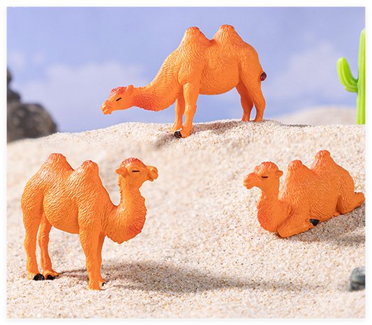 Camel