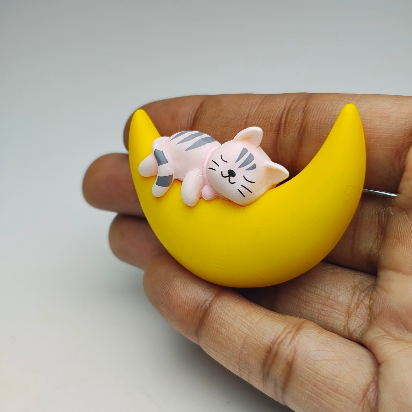 Animals Sleeping in Moon