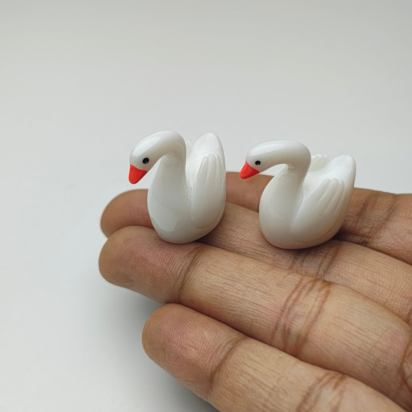 Swan