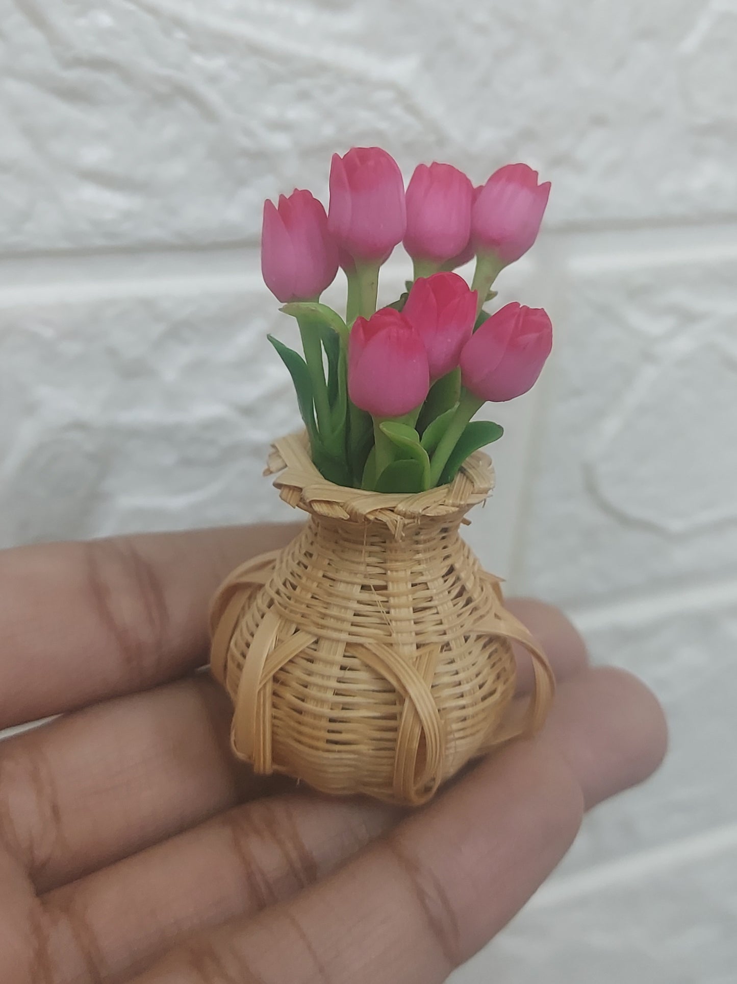 Pink Tulip flower