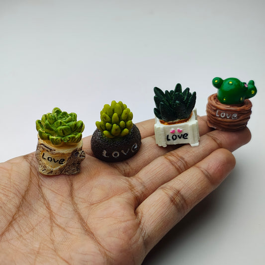 Miniature Cactus