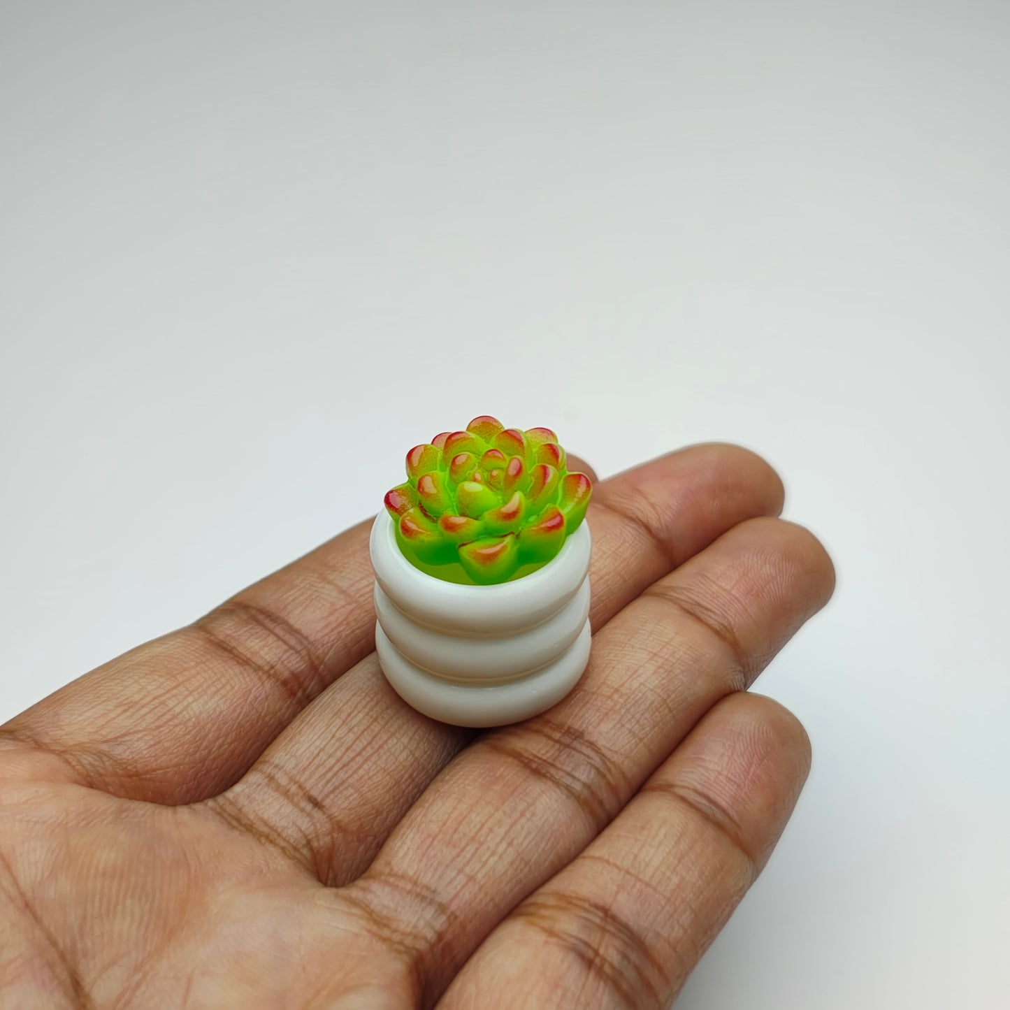 Miniature Cactus Set 4 pcs