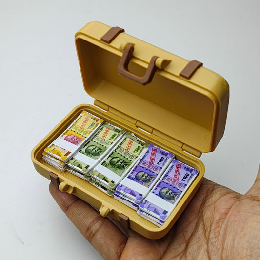Indian Currency Suitcase