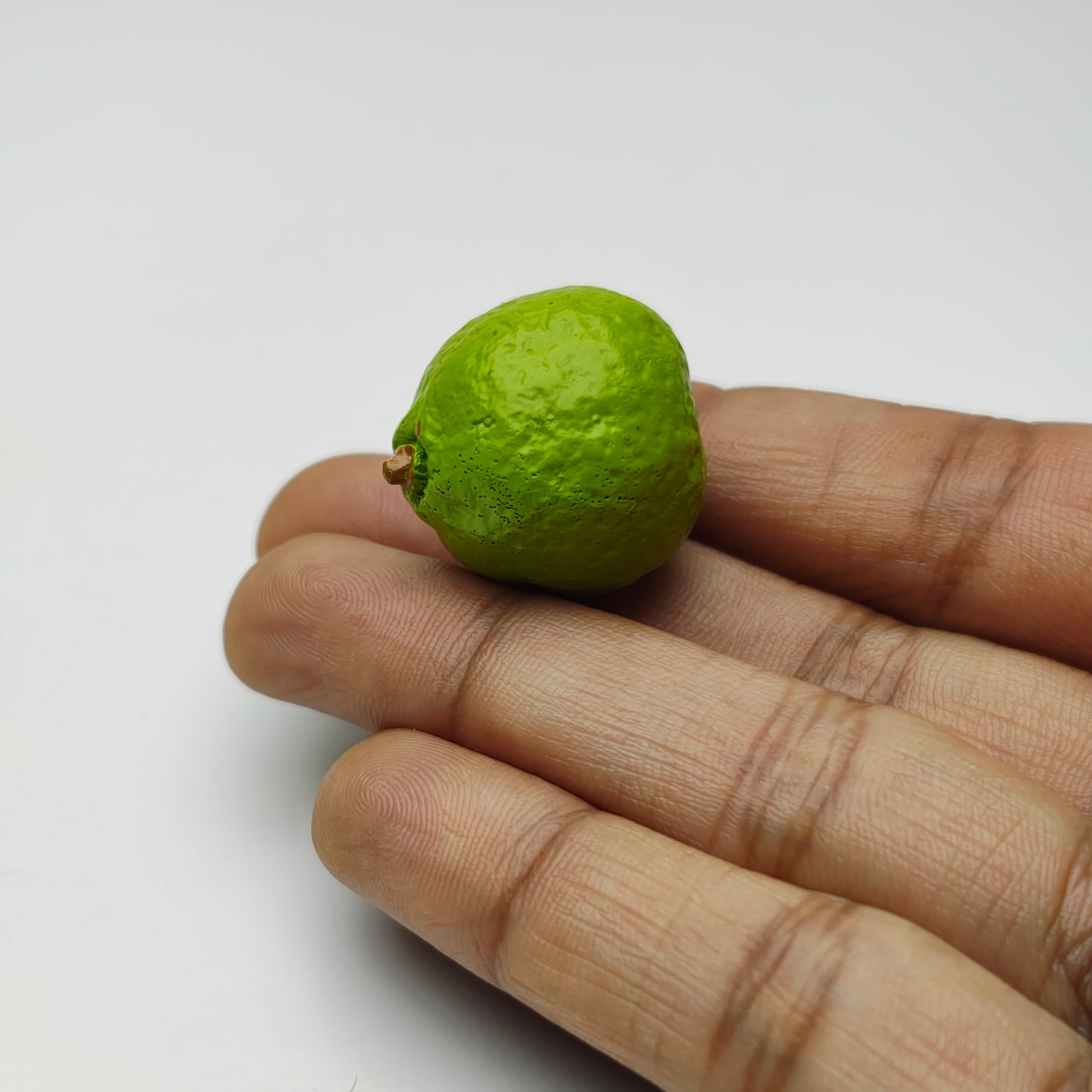 Guava