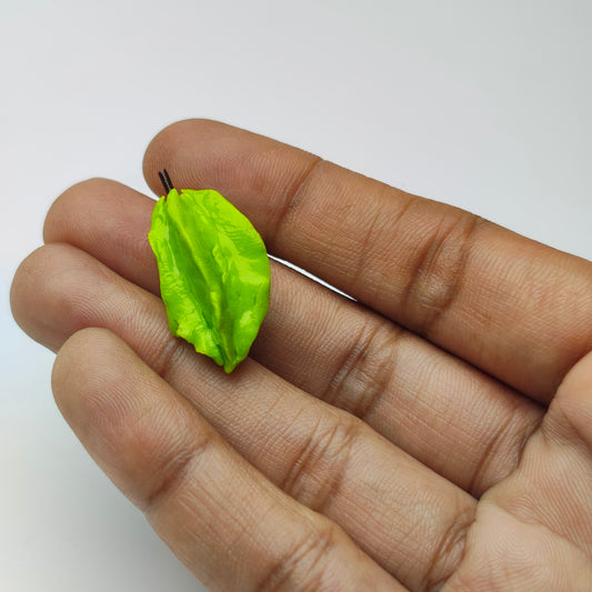 Miniature Star fruit