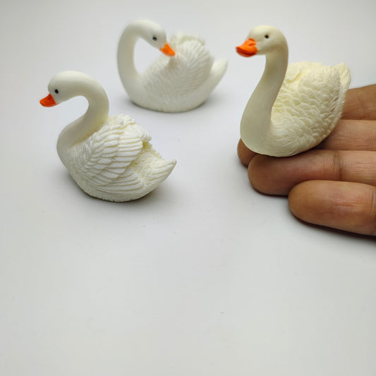 Swan