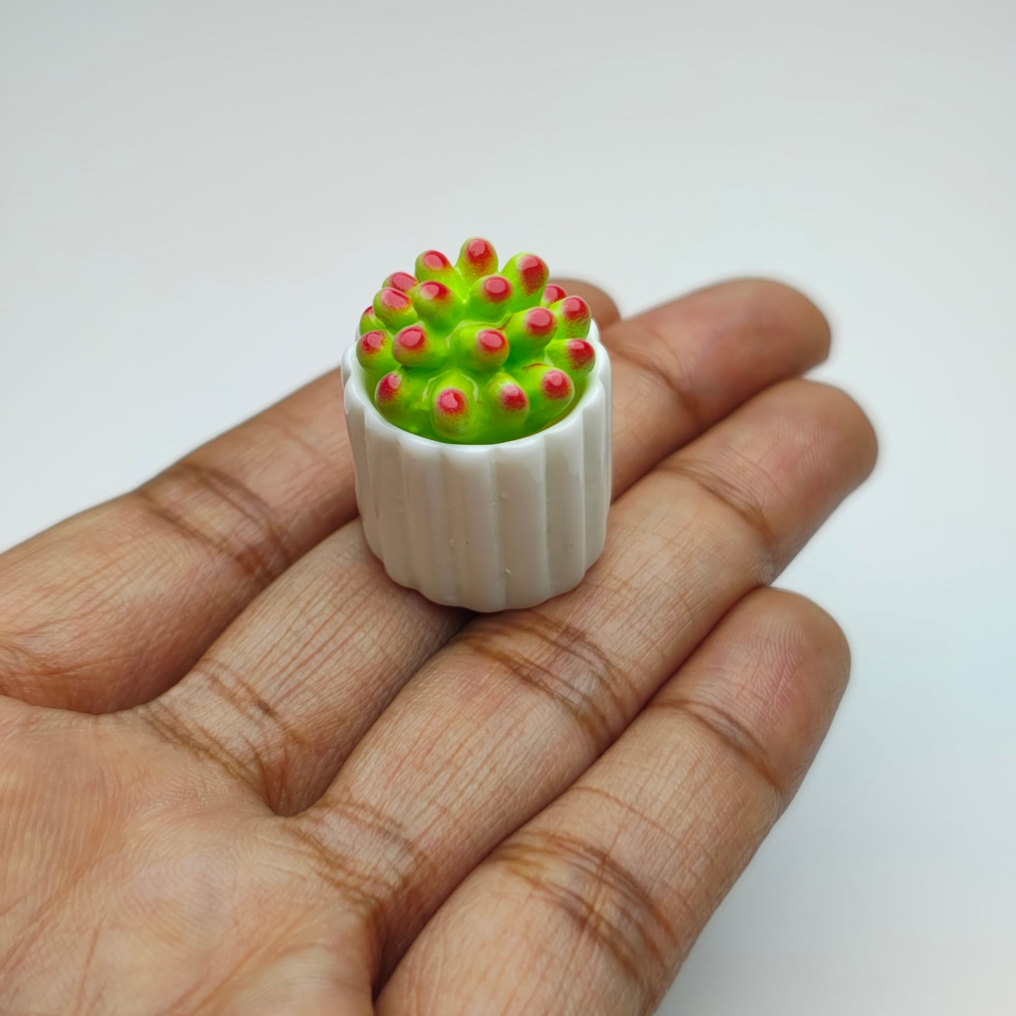 Miniature Cactus Set 4 pcs