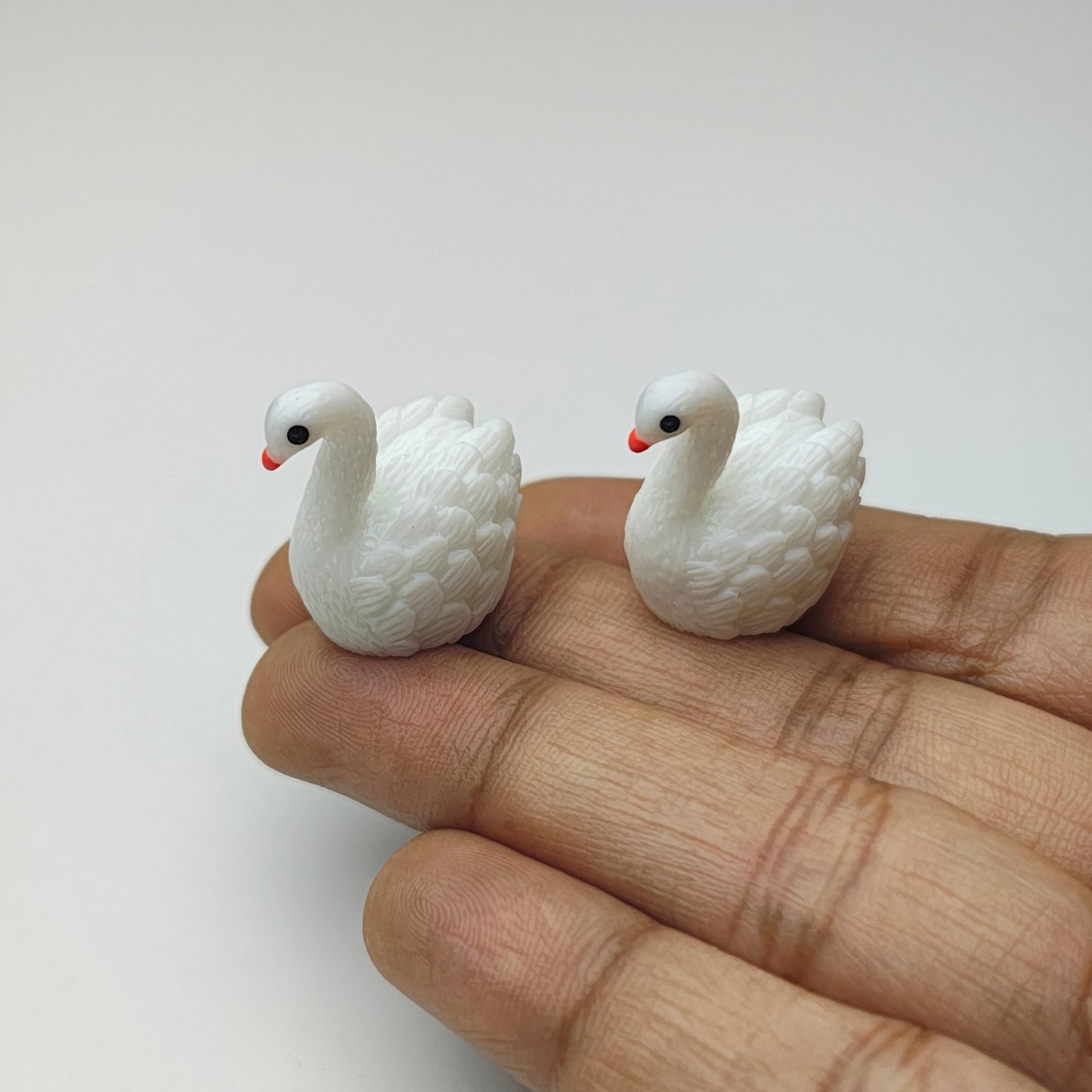 Swan