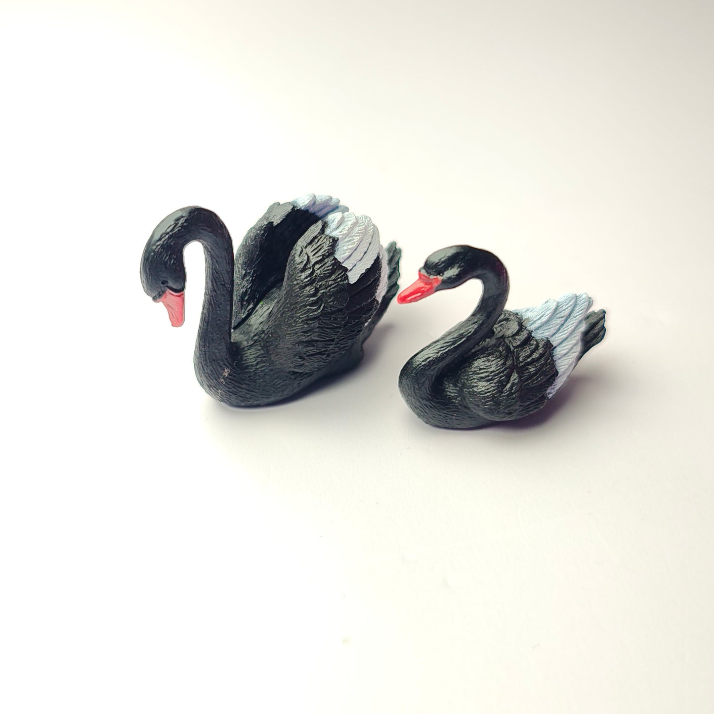 Black Swan Set