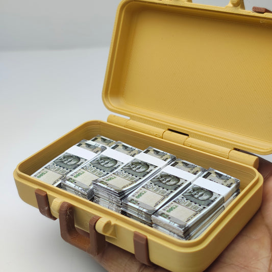 Indian Currency Suitcase