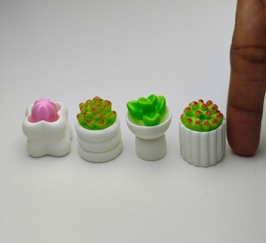 Miniature Cactus Set 4 pcs