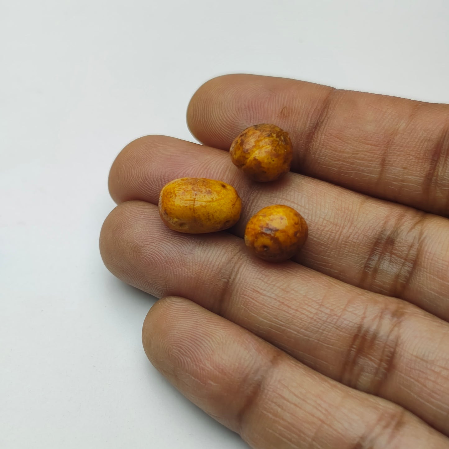 Miniature Potato