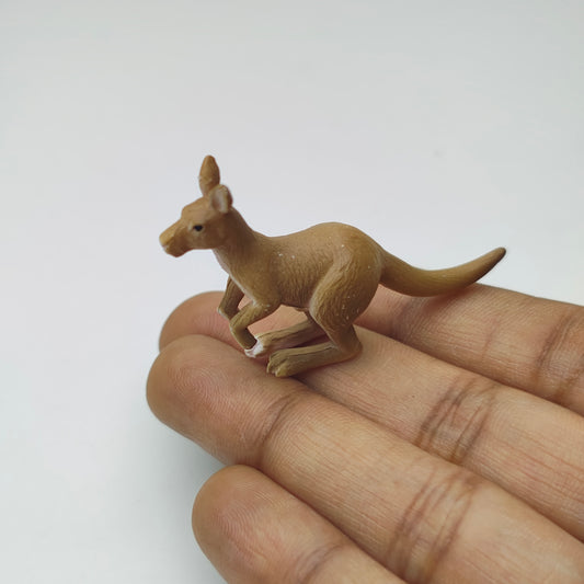 Kangaroo