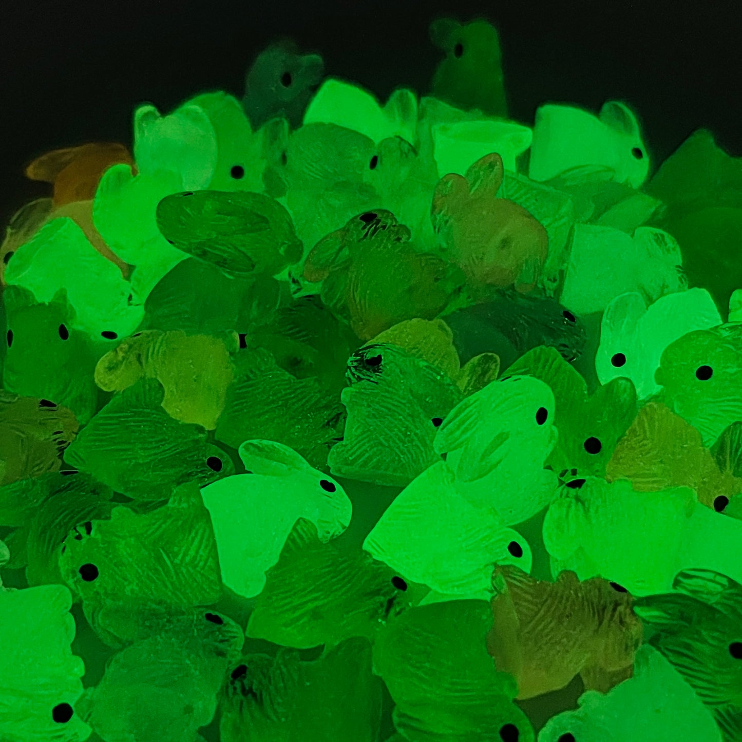 Glow Rabbit Set