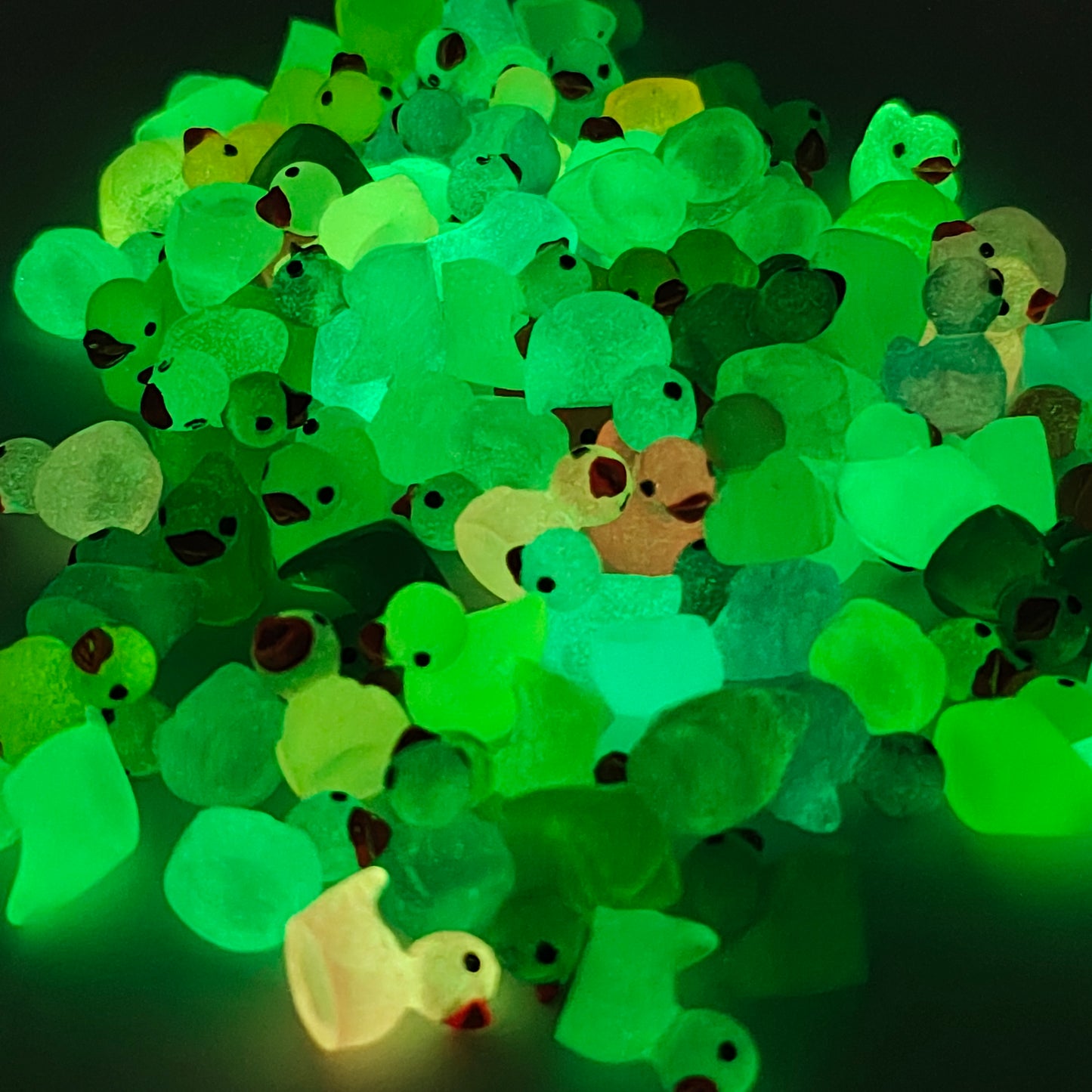 Tiny Glow Duck