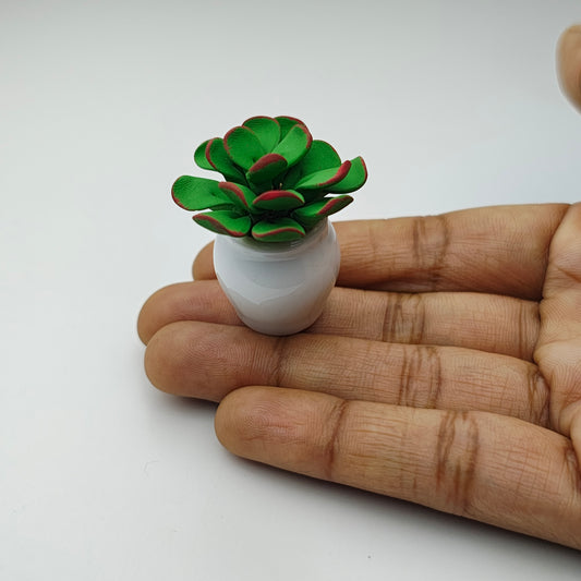 Tiny Succulent Pot