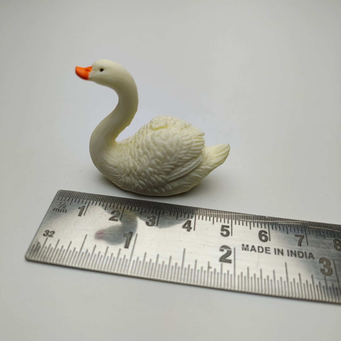 Swan