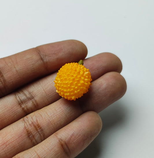 Jack fruit