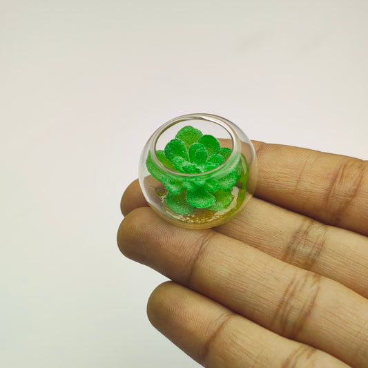 Succulent Glass Vase