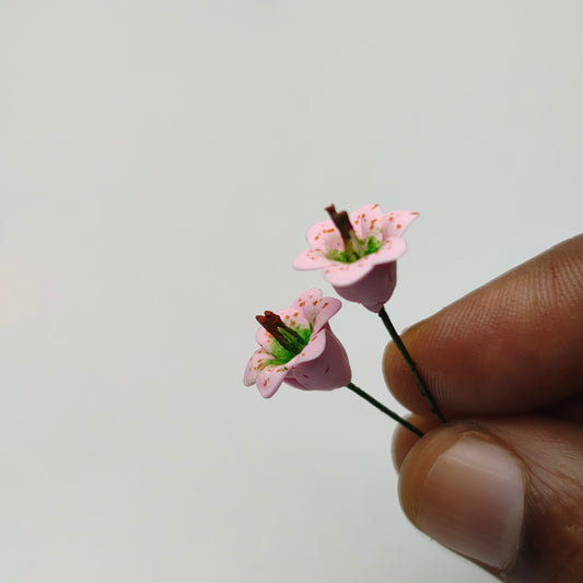 Miniature Flowers