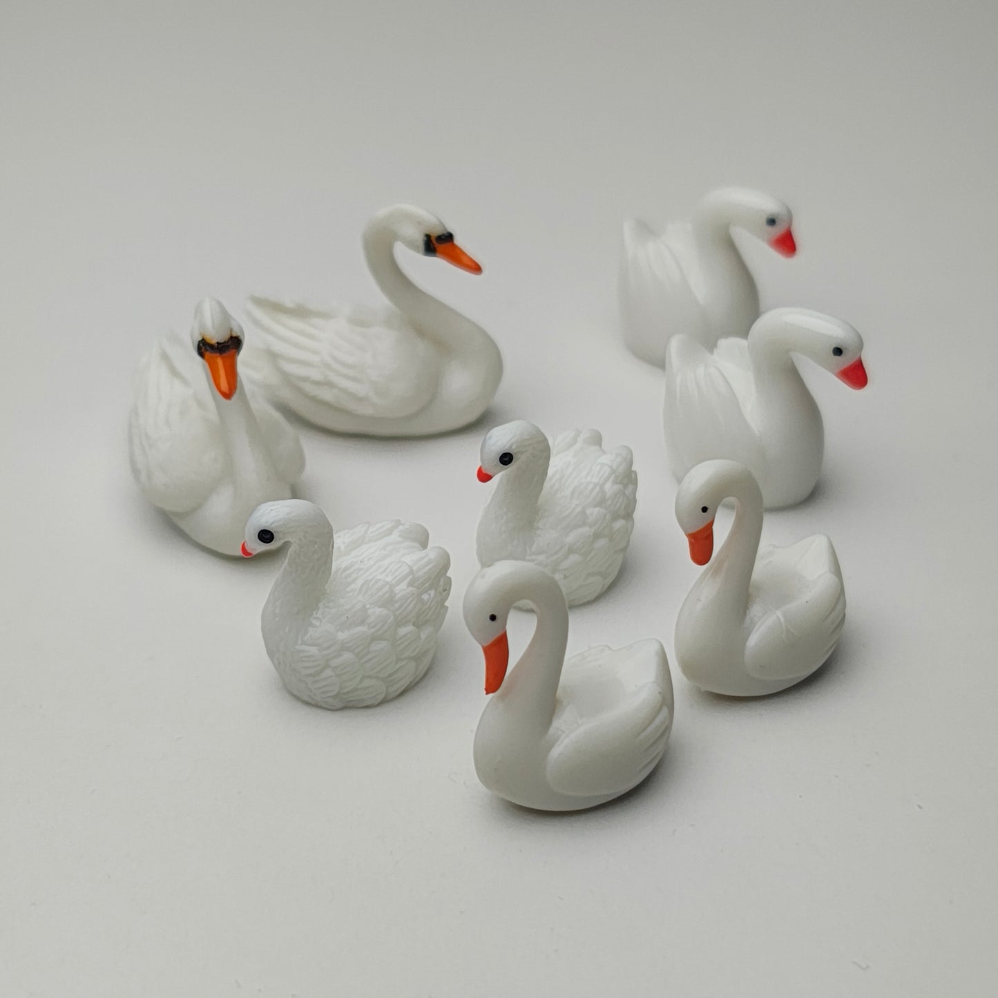 Swan