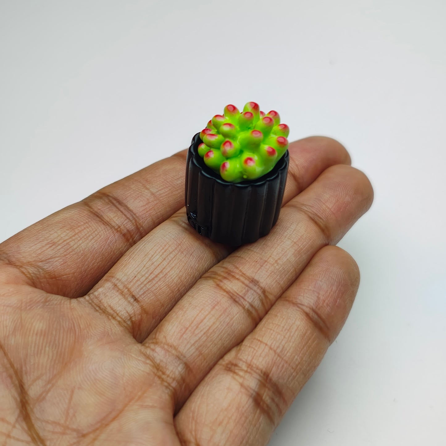 Miniature Black Cactus Set