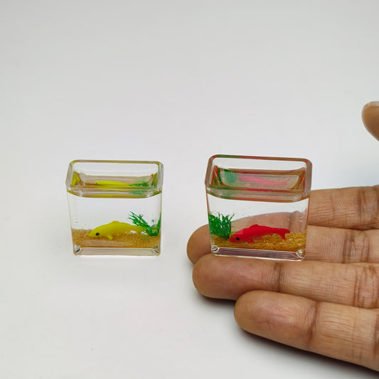 Miniature Fish Tank