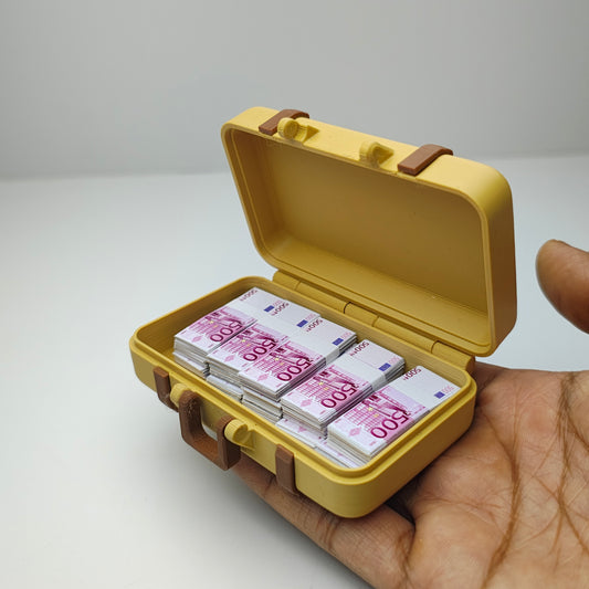 Foreign currency suitcase