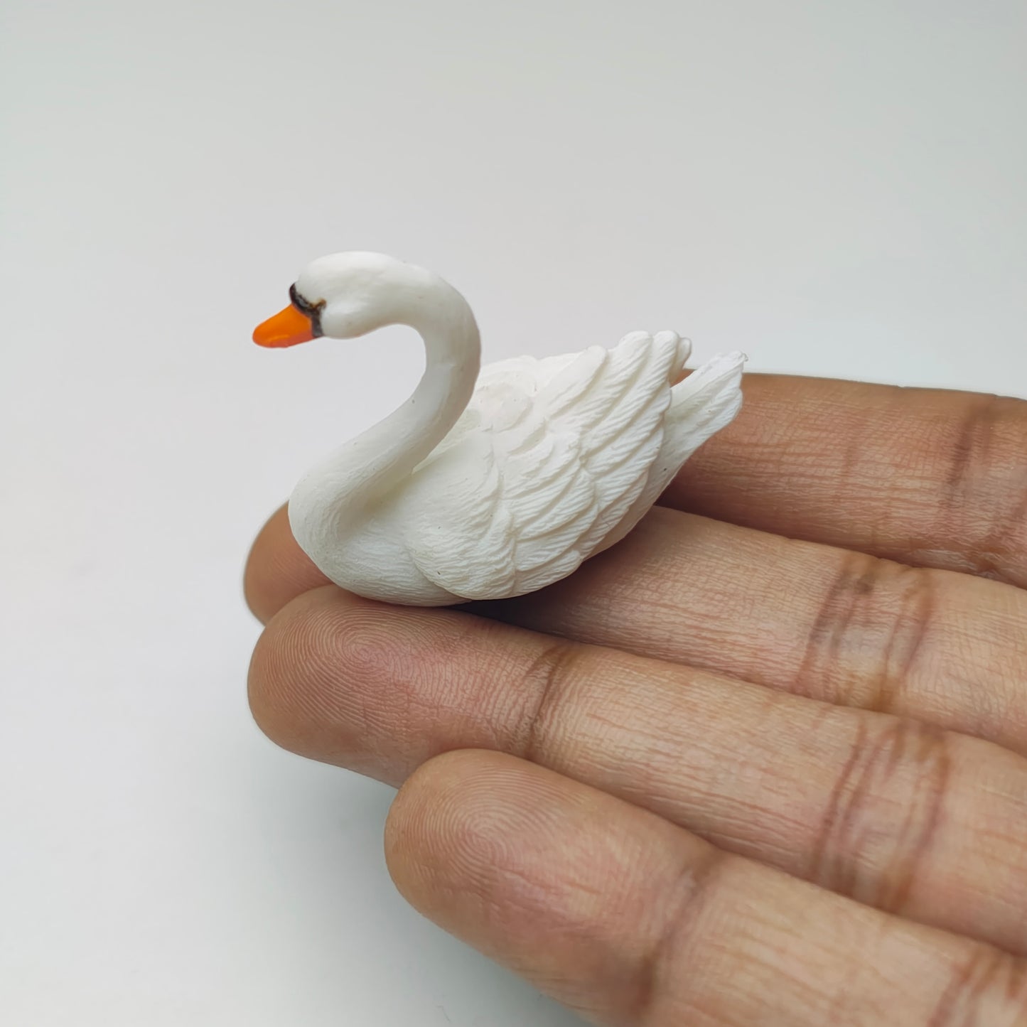 Swan