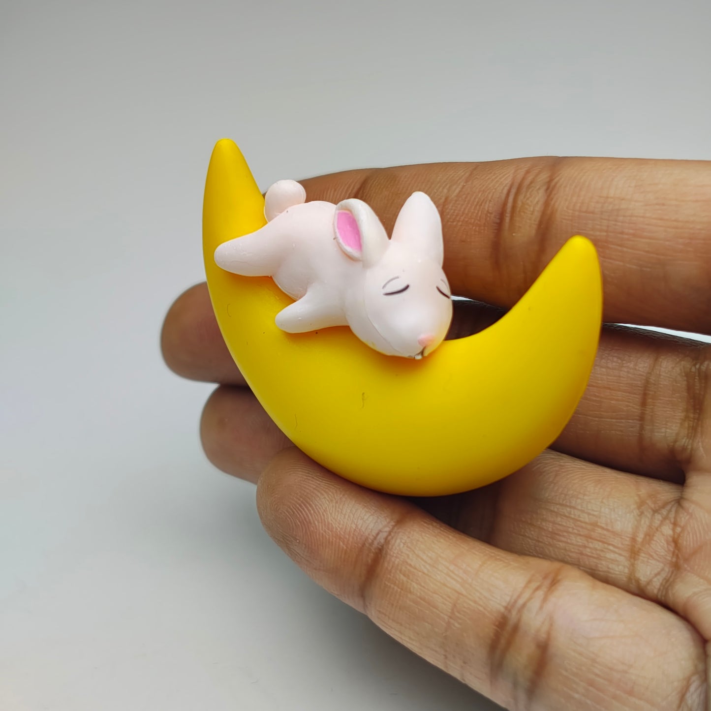 Animals Sleeping in Moon